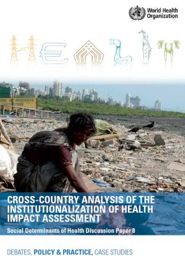 Cross-country analysis of the institutionalization of health impact