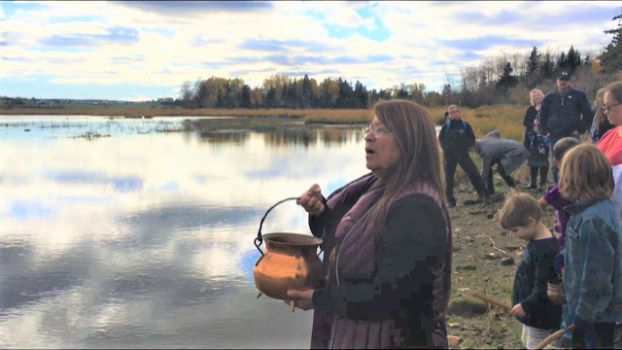 Indigenous cultural safety: Necessary for Indigenous health