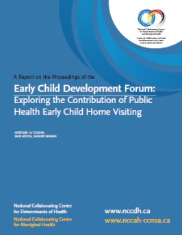 Exploring the contribution of public health early child home visiting