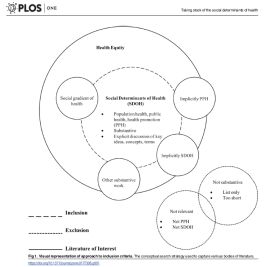 Taking stock of the social determinants of health: A scoping review