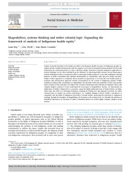 Shapeshifters, systems thinking and settler colonial logic: Expanding the framework of analysis of Indigenous health equity 